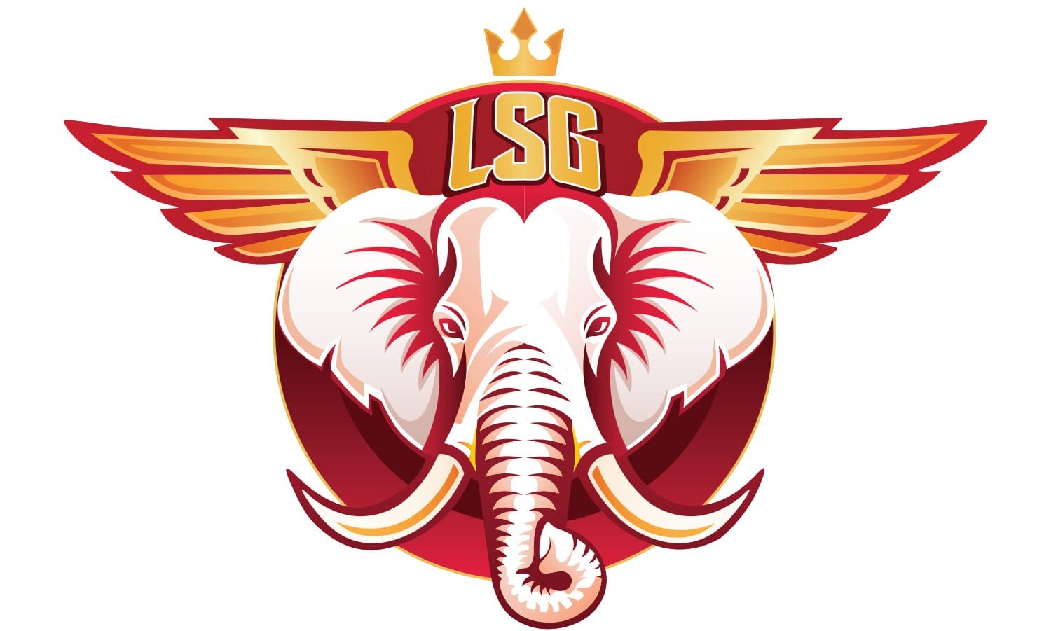 WhatsApp Image 2026-02-24 at 5.11.35 PM