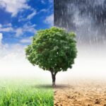 मौसम विभाग का कहना है कि ओले और आंधी-तूफान की संभावना है, तापमान गिरने की संभावना है